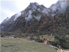 14-Day Exploration of the Western Sichuan Plateau: A Journey through Nature and Tibetan Culture