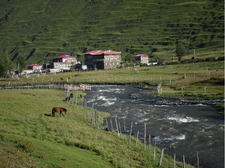 10-Day In-Depth Exploration of the Western Sichuan Plateau: Journey Through Floral Seas and Cultural Sanctuaries