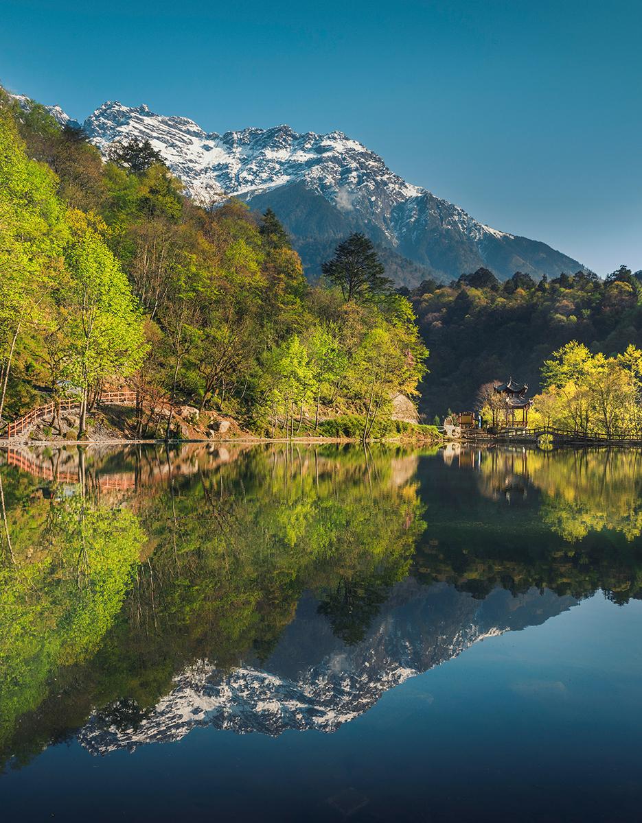 12-Day Early Summer Alpine Flower Photography Tour in Western Sichuan